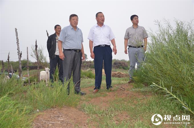 神木市大保当镇东北湾村党支部书记段二平：一位普通党员的忠诚职守