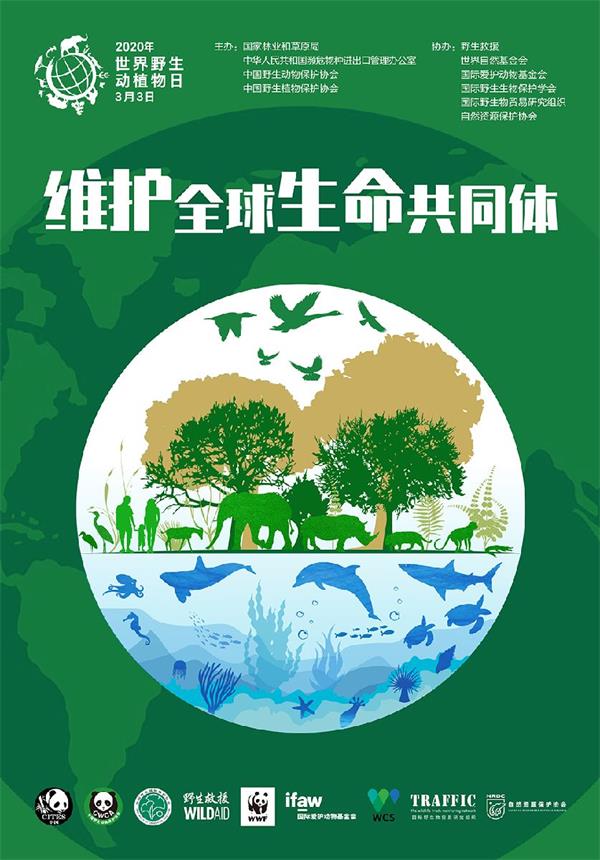 中国野生动物保护协会组织开展2020年“世界野生动植物日”主题宣传活动