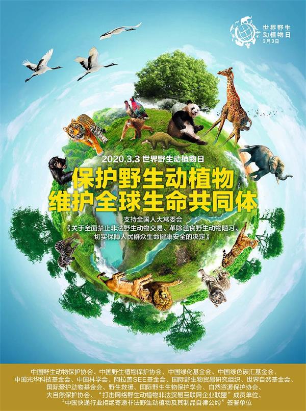 中国野生动物保护协会组织开展2020年“世界野生动植物日”主题宣传活动