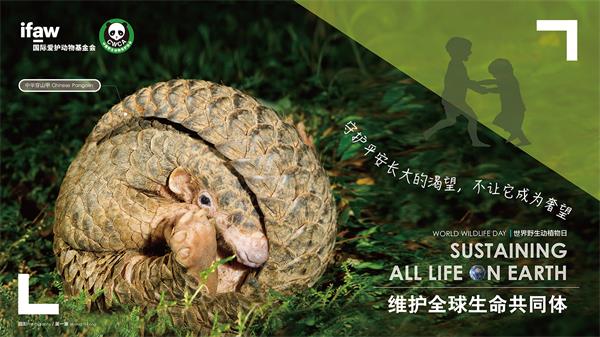 中国野生动物保护协会组织开展2020年“世界野生动植物日”主题宣传活动