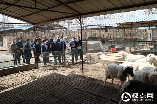 省厅宣讲团来临渭宣讲中央和省委“一号文件”并调研农业生产工作