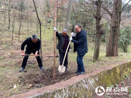 汉中市西乡县堰口镇坚持全民植树播绿不间断