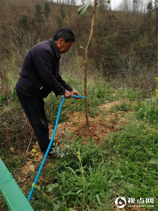 汉中市西乡县堰口镇坚持全民植树播绿不间断