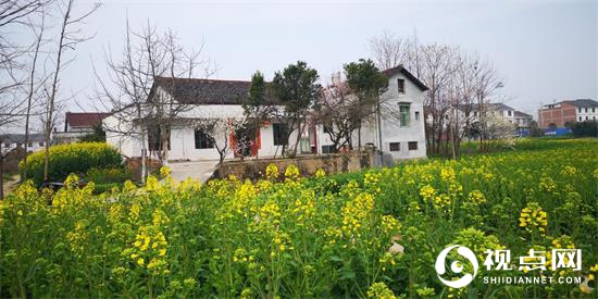 汉中市西乡县堰口镇油菜花开美如画