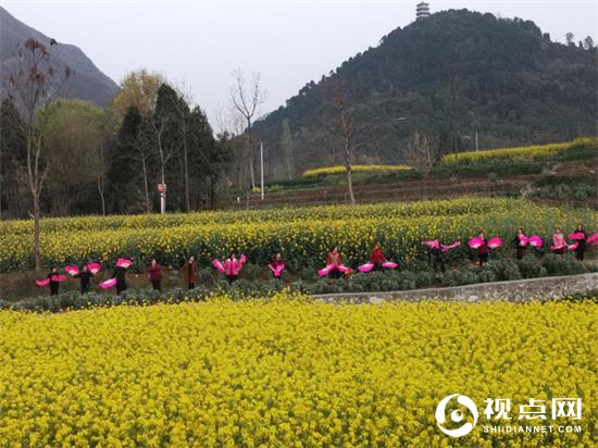 汉中市西乡县堰口镇油菜花开美如画