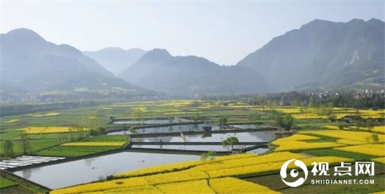 汉中市西乡县堰口镇油菜花开美如画