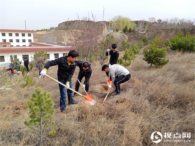 民盟府谷支部：植下同心林 共筑绿色长城 