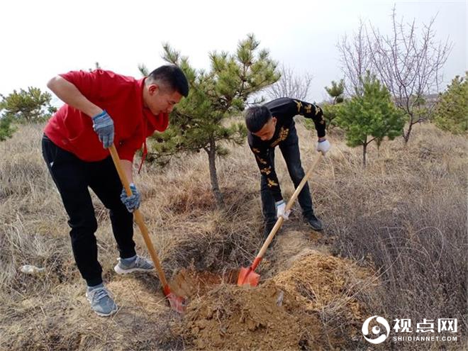 民盟府谷支部：植下同心林 共筑绿色长城 