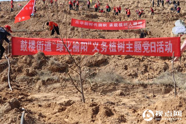 榆阳区鼓楼街道义务植树共建绿色和谐家园