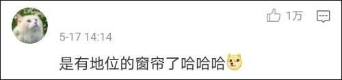 湖北省飘2个月网红窗帘将被省博物馆永久收藏