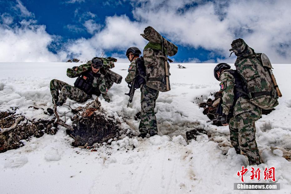 近日,西藏军区某特战旅在高原雪山组织了一场重装行军拉练。通过训练提升官兵恶劣环境下打赢本领,磨砺坚强意志品质,消除军事训练盲区。