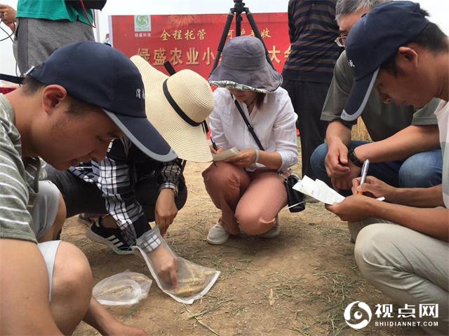 渭南市临渭区：省心省力产量高 托管带来新变化