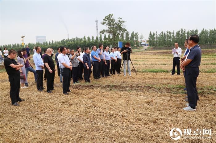 渭南市夏玉米扩面积 增密度 提单产现场推进会在临渭区召开