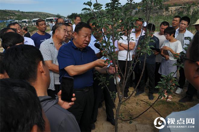 府谷县200名果农参加山地苹果实用技术集中培训