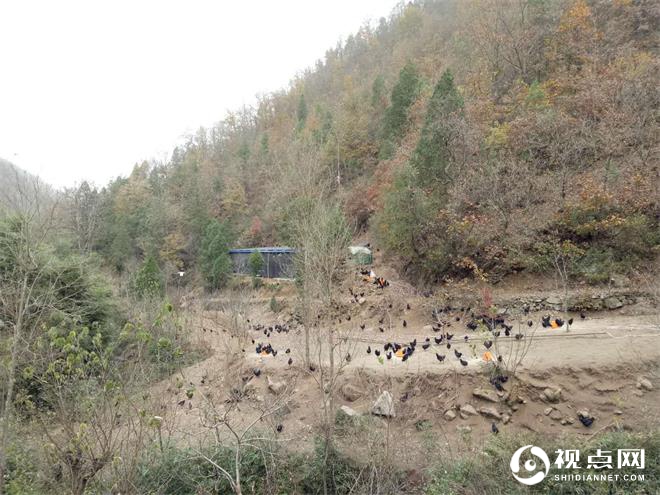 西安外国语大学深入汉中市略阳县调研“互联网+农业”发展