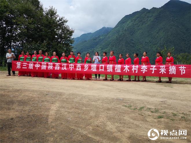 第三届中国陕西汉中西乡堰口镇檀木村李子采摘月圆满成功