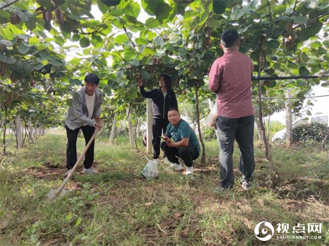 临渭区农检中心加强“双节”期间农产品质量安全例行抽检