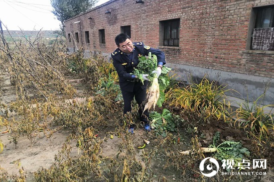 神木市碾房峁治超站职工菜园子喜获丰收