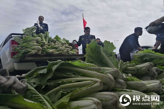 神木市碾房峁治超站职工菜园子喜获丰收