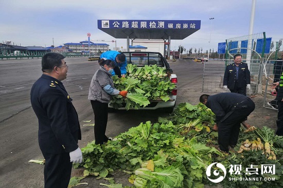 神木市碾房峁治超站职工菜园子喜获丰收