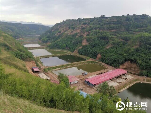 喜讯！临渭区2家水产养殖场获评国家级水产健康养殖示范场