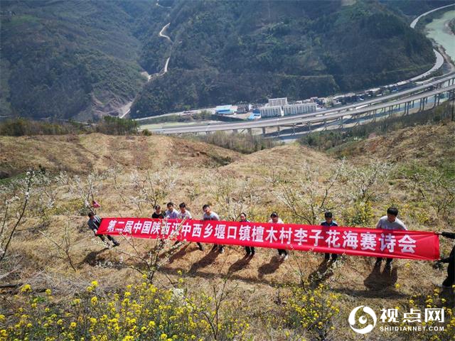 汉中市西乡县堰口镇檀木村成功举办第二届李子花海赛诗会