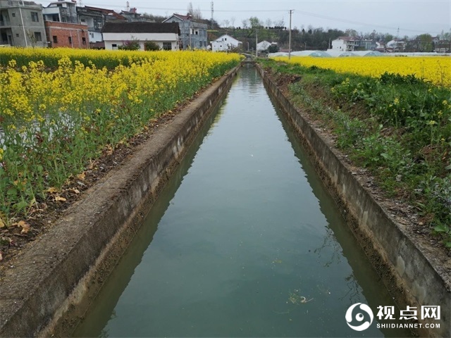 汉中市西乡县堰口镇：名山 秀水 花海 绿茶美如画