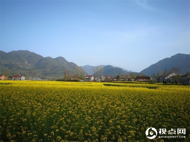 汉中市西乡县堰口镇：名山 秀水 花海 绿茶美如画