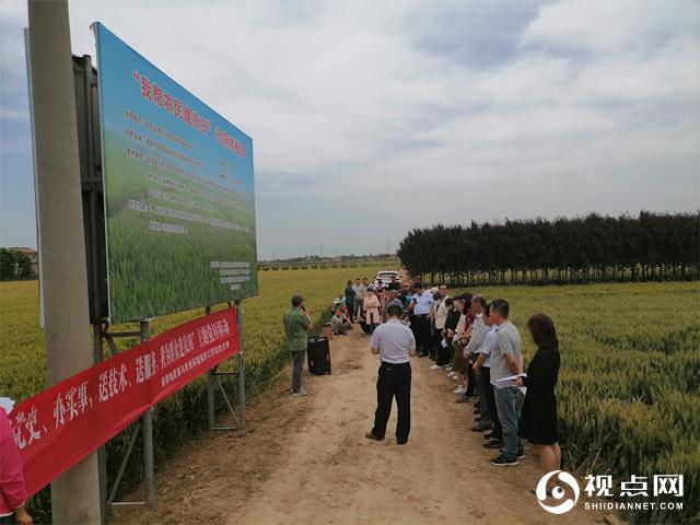渭南市临渭区：践行群众路线，三级共建“建良田”