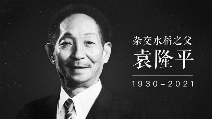 传承袁隆平精神，在奋进中实现自我