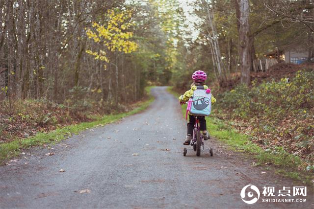 “一强三美”书写乡村振兴新画卷