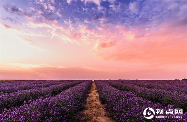 “一强三美”书写乡村振兴新画卷