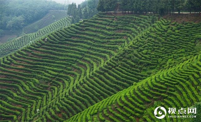 <a href=https://www.shidiannet.com/zt/shaanxi/ target=_blank class=infotextkey>陕西</a>汉中西乡县堰口镇2021年目标任务圆满完成并揭晓出十大新闻