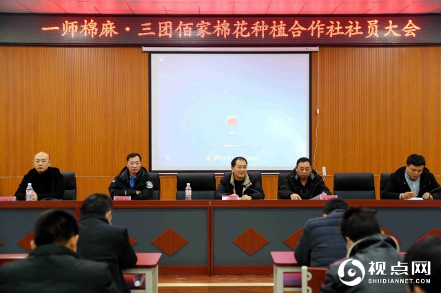 三团佰家棉花种植合作社首次分红44万元！