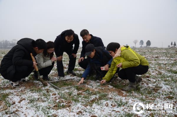 省市植保站领导莅临临渭区指导小麦抗灾强管工作