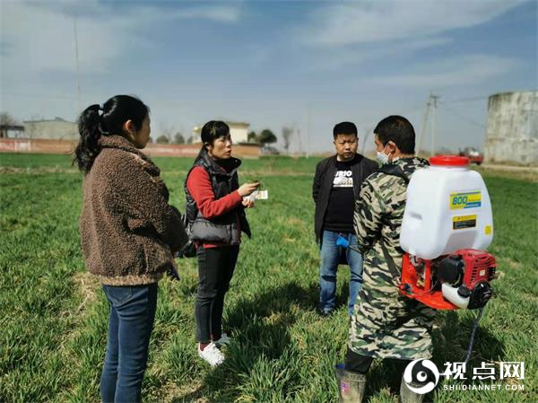 省市区镇四级联动 千名干部共促小麦春管