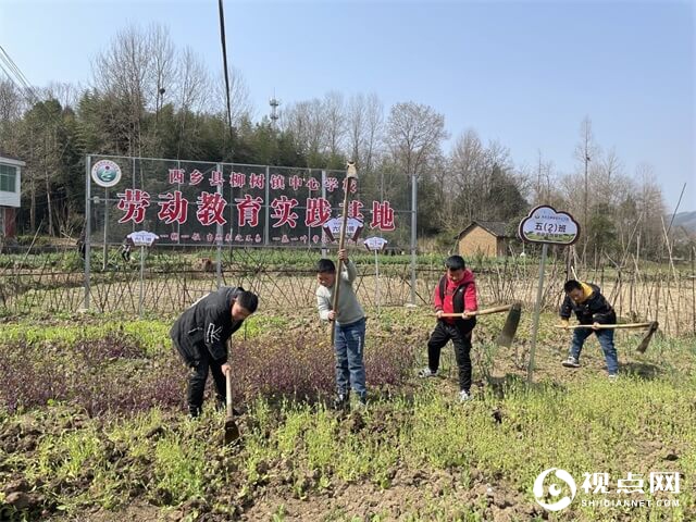 西乡县柳树镇中心学校德育教育活动丰富多彩