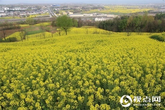 陕西西乡县堰口镇抓示范比效果强力推进全域环境整治