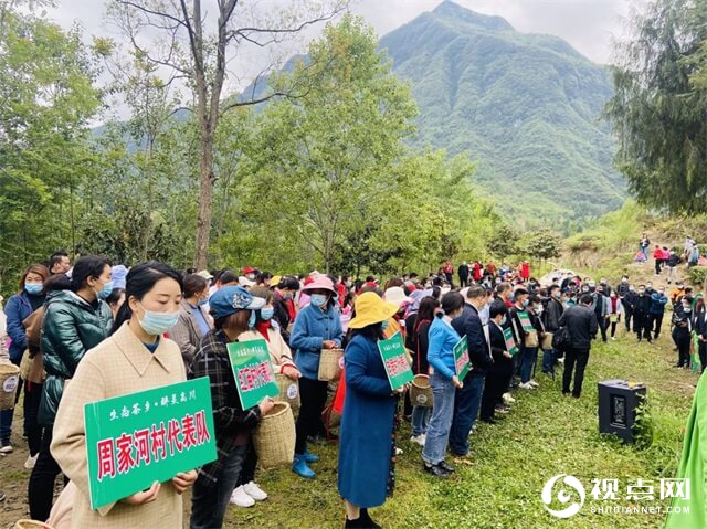 汉中市西乡县高川镇首届茶叶节成功举办