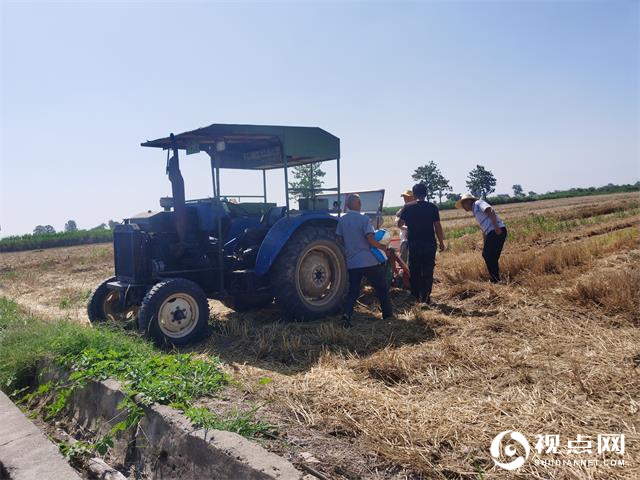 渭南市临渭区完成小麦试验收获及玉米试验示范播种工作