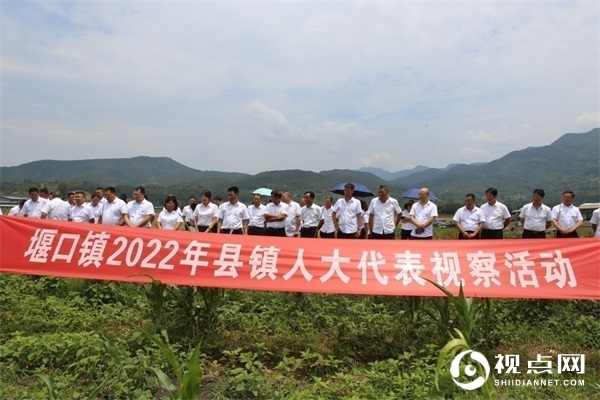 <a href=https://www.shidiannet.com/zt/shaanxi/ target=_blank class=infotextkey>陕西</a>西乡县堰口镇第十九届人大二次会议圆满召开