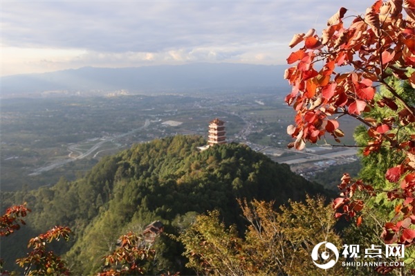 汉中市西乡县堰口镇：红叶染林美如画