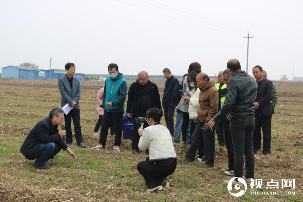 渭南市临渭区：贯彻落实二十大精神 农技专家直播进田间