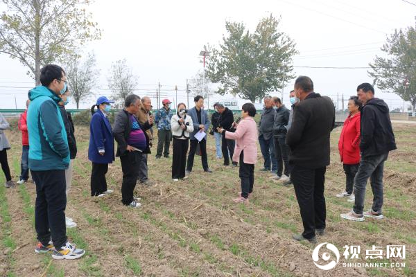 渭南市临渭区：贯彻落实二十大精神 农技专家直播进田间