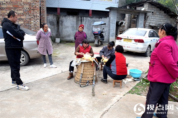 三台县灵兴镇花庙村青菜产业做大做强 助推乡村产业振兴