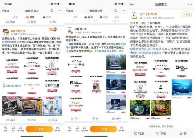 公益发声新范例：天猫「动物品牌保护动物」让帮助改变无助