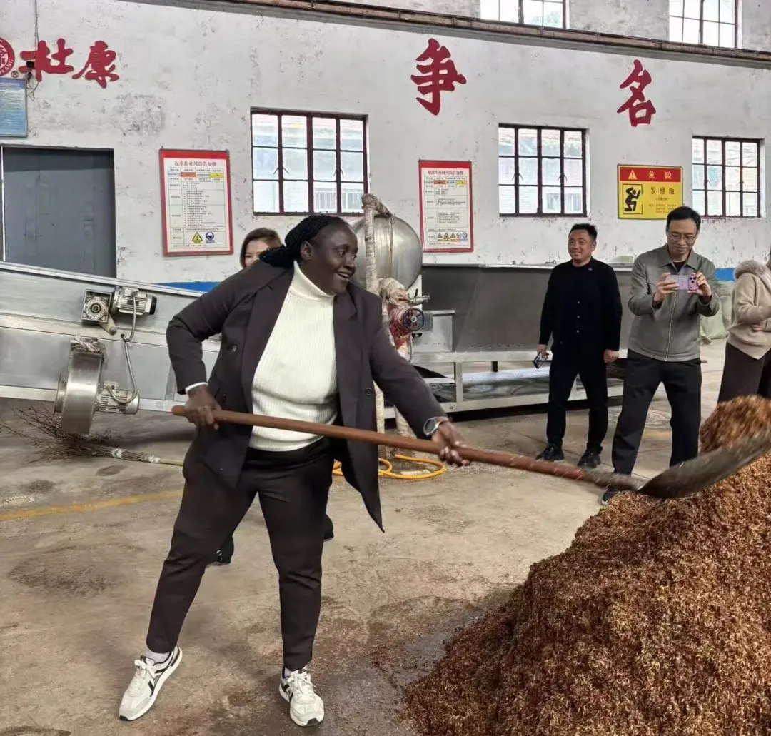 外交官看中国·走进<a href=https://www.shidiannet.com/GB/shaanxi/ target=_blank class=infotextkey>陕西</a>白水杜康——感知民生消费新活力 共拓全球市场新机遇