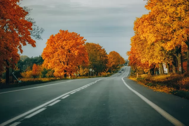 串联景区的旅游公路