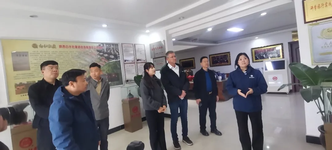 奥地利客商实地探访<a href=https://www.shidiannet.com/GB/shaanxi/ target=_blank class=infotextkey>陕西</a>白水杜康 国槐酒海与陶坛酒阵成品质“见证” 奥地利客商实地探访<a href=https://www.shidiannet.com/GB/shaanxi/ target=_blank class=infotextkey>陕西</a>白水杜康 国槐酒海与陶坛酒阵成品质“见证”