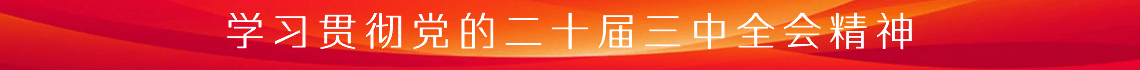 学习贯彻党的二十届三中全会精神